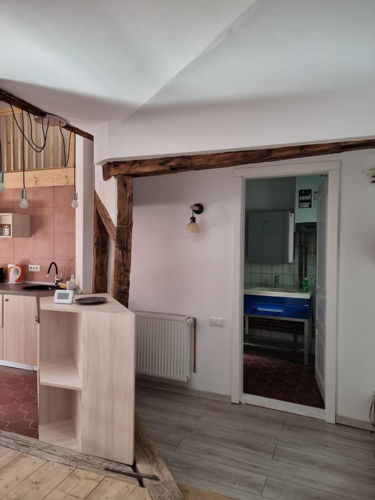 Apartament Spatios In Centru Oradea Exterior photo